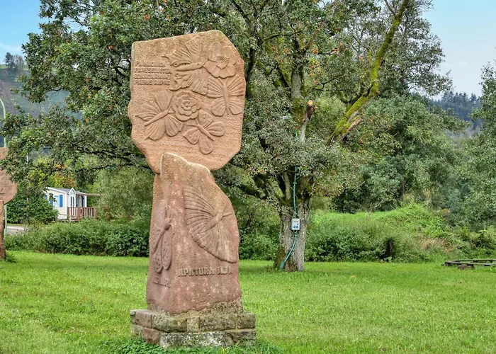 キャンプ場 Pet Friendly Stacaravan In 3*