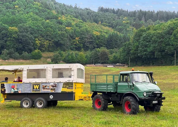 Pet Friendly Stacaravan In キャンプ場 Irrhausen